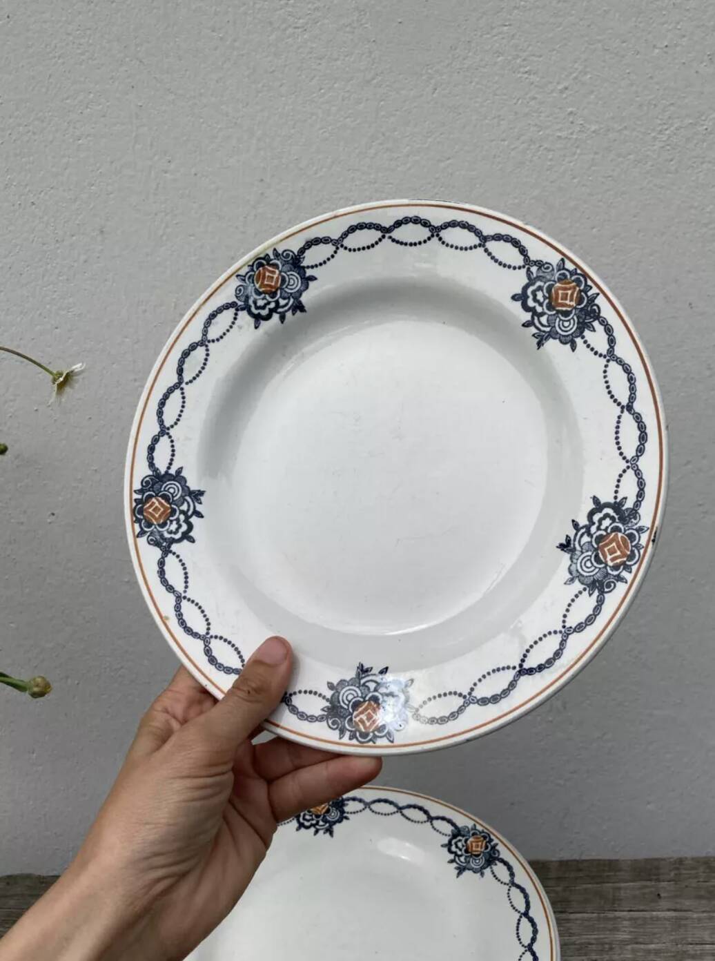 5 Saint Amand iron earth flat plates