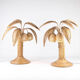 "Rattan 'coconut tree' lamp"