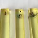 Door knives fishing flies
