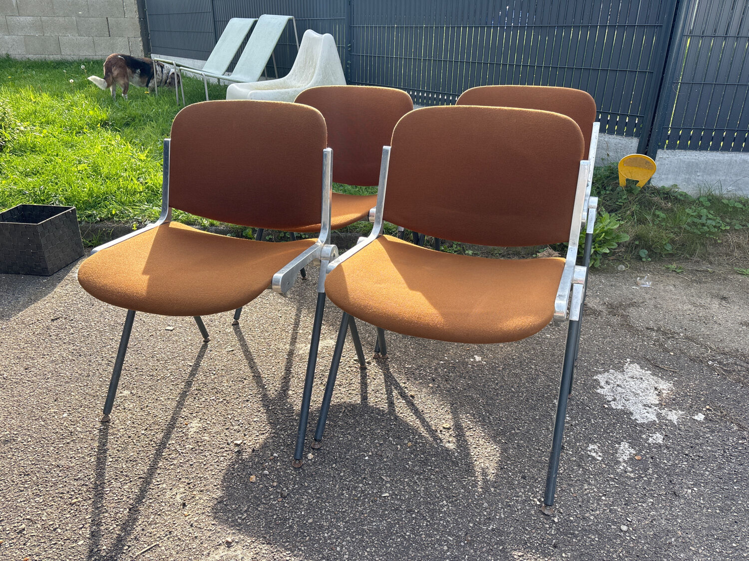 4 Castelli DSC 106 chairs