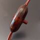Shell lamp 50s