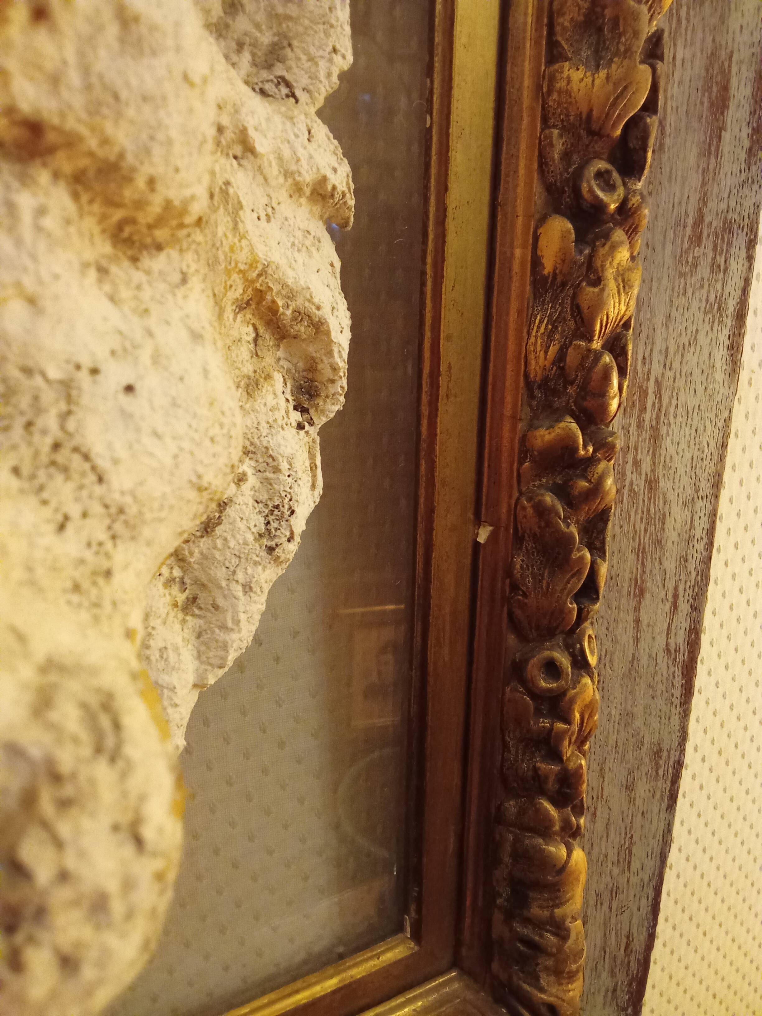 Antique gilded frame with stone lion head ornament on plexiglass