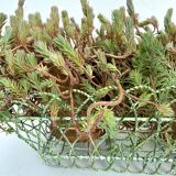 Twisted metal planter