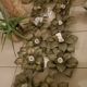 Masca ceiling light / wall light