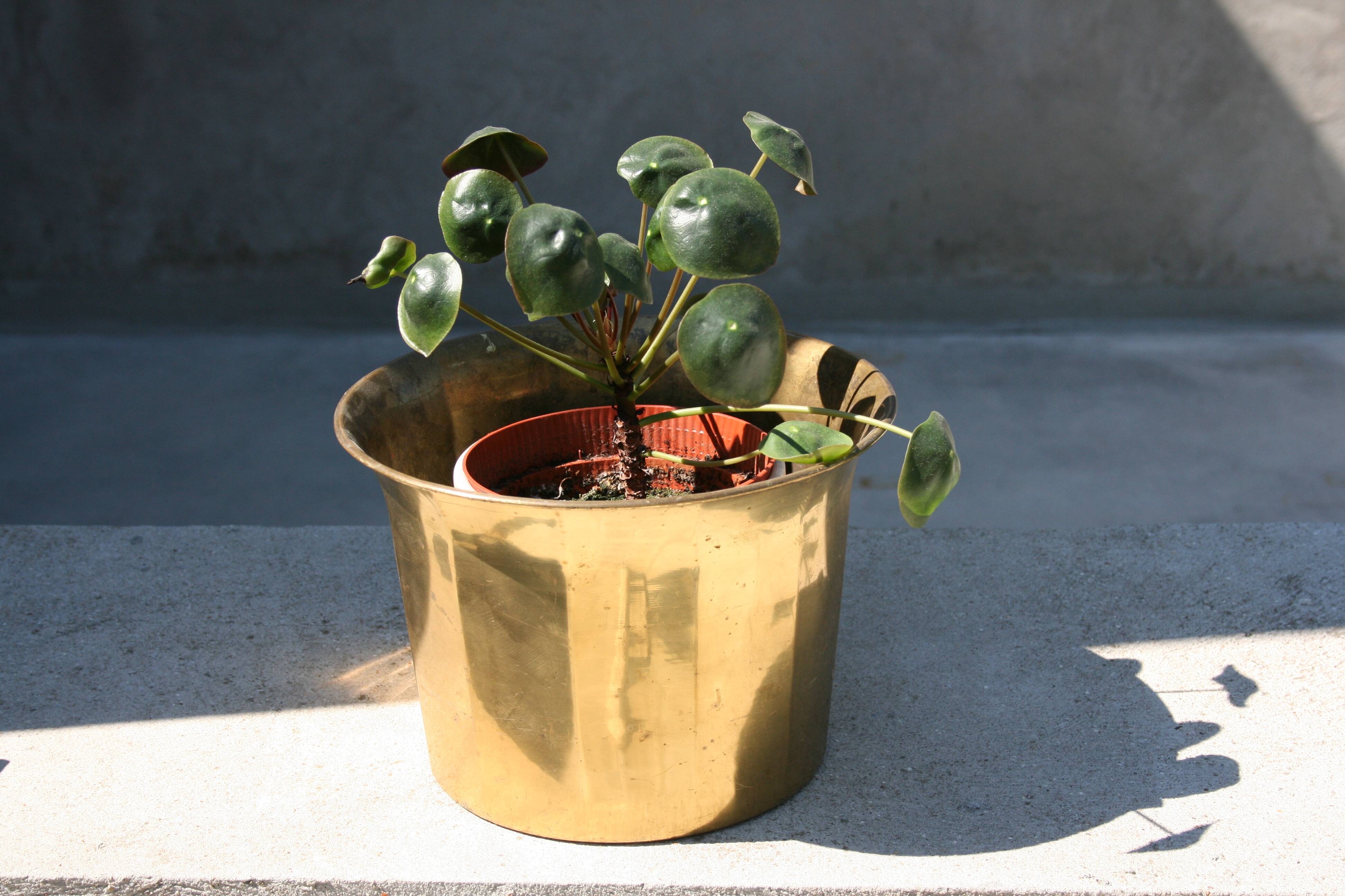 Cache-pot en métal à facettes