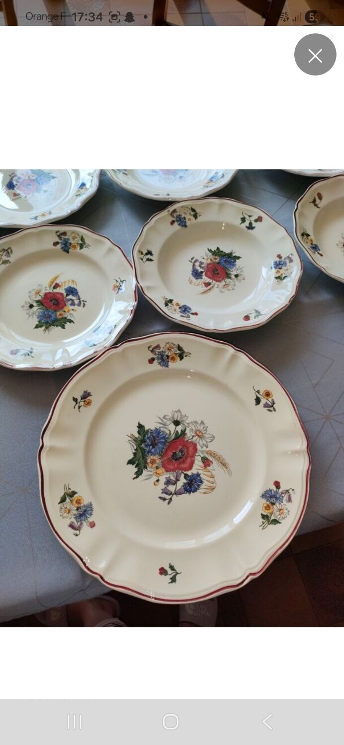 Sarguemines rustic service