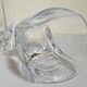 Five vintage crystal whiskey glasses