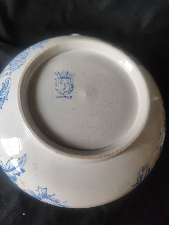 1880/1930 /Saint Amand /Hamage /Cactus /bowl /toilet jug