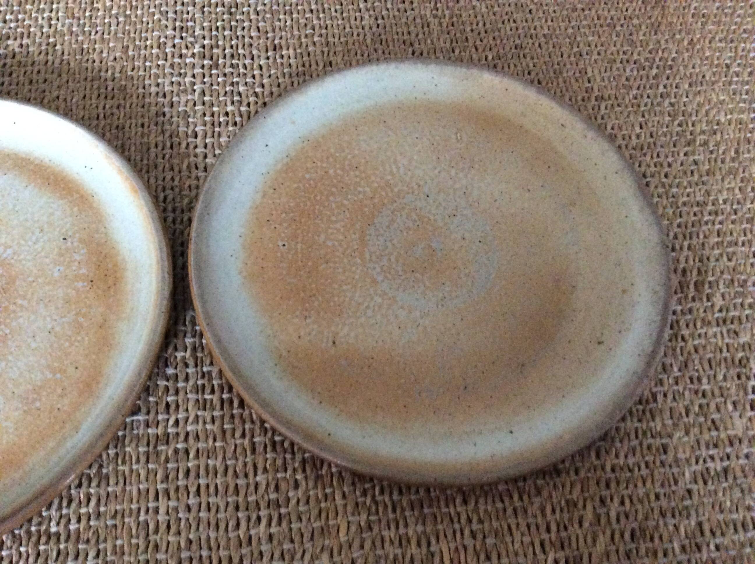 2 stoneware dinner plates