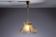 Swedish pendant with glass leaf shades and a center shade of amber coloured
