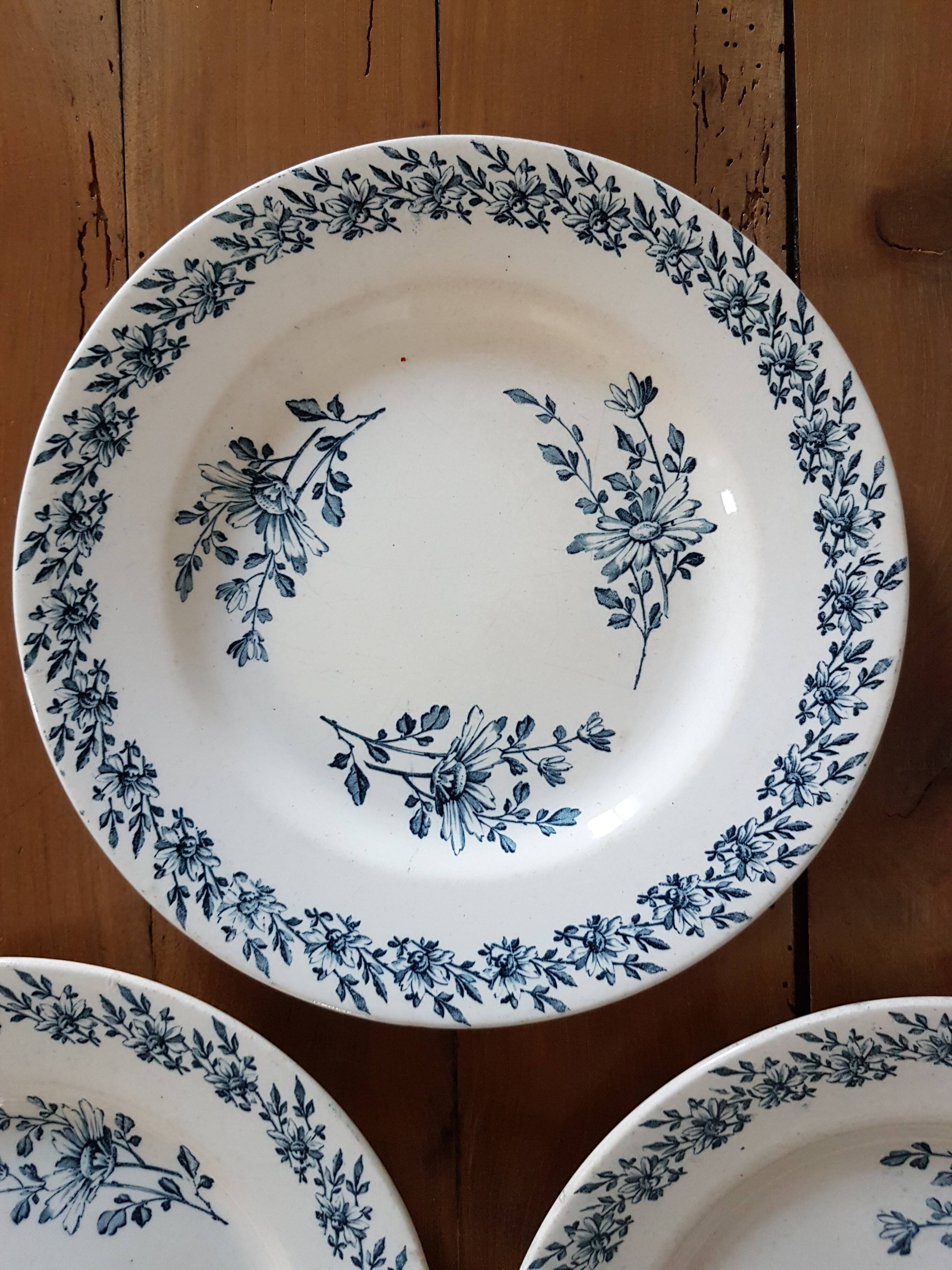 Flat plates Luneville - Daisies