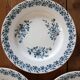 Flat plates Luneville - Daisies