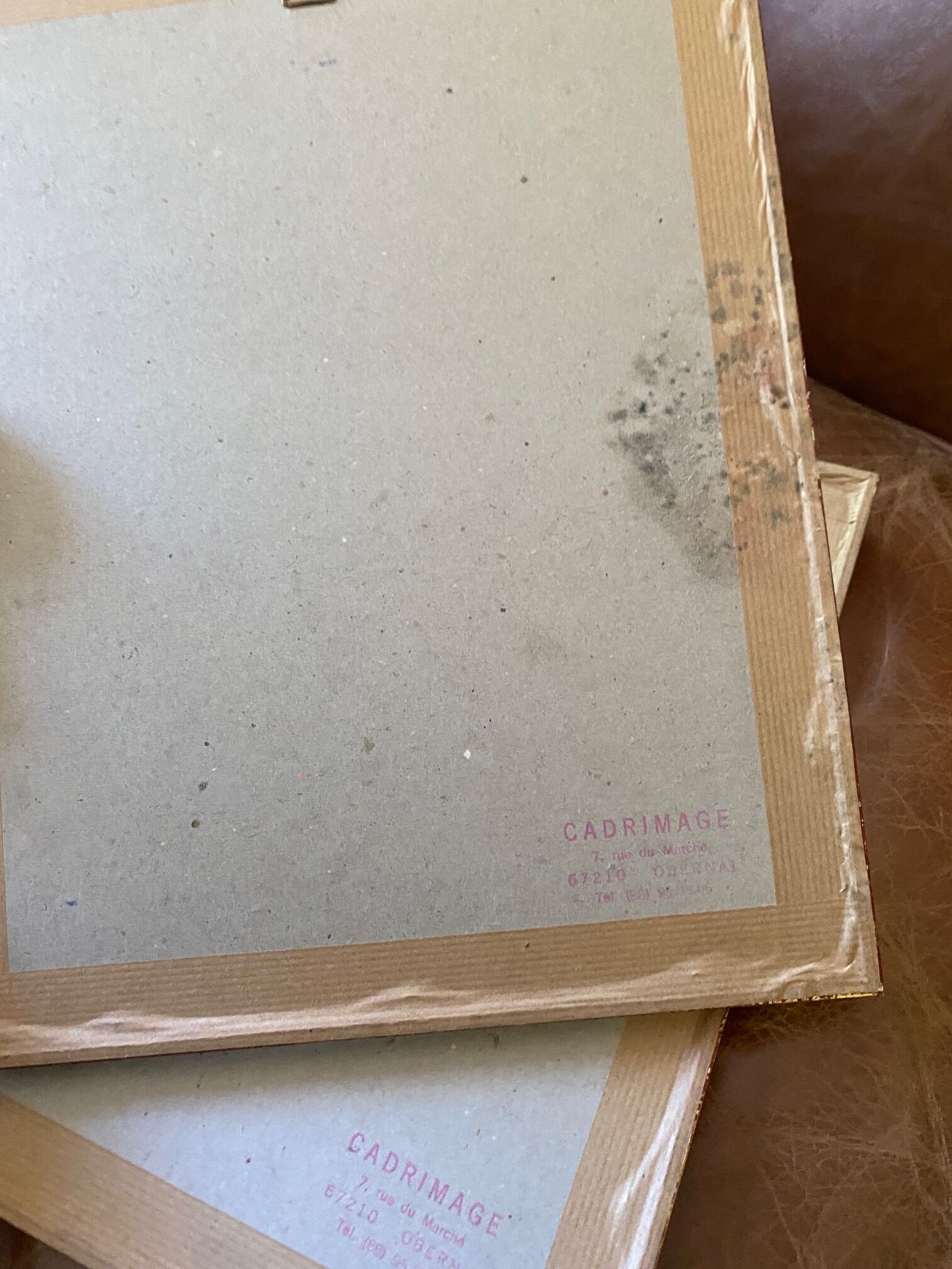 Botanical square paintings: Rosa Eglantera