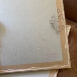 Botanical square paintings: Rosa Eglantera