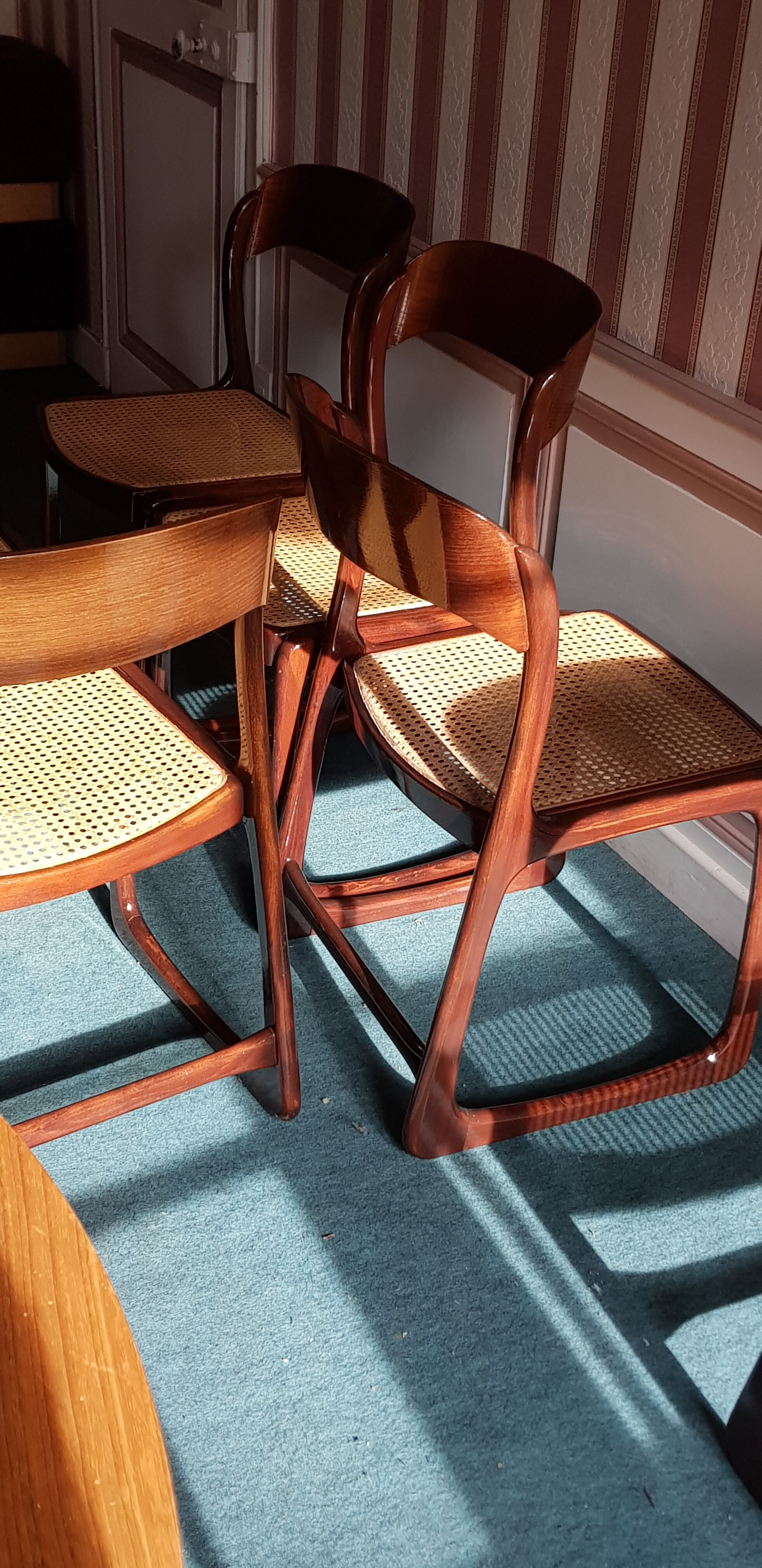 Suite of 6 chairs sleigh Baumann vintage redone