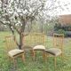 4 velvet chairs
