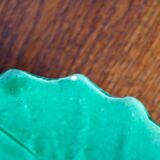 Empty pocket vine leaf in slip