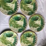 6 asparagus plates
