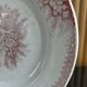 2 anciennes assiettes plates à fleurs rose poinçonner terre de fer hamage st amand "jardinière"