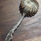 Rocaille style sprinkler in solid silver Minerva