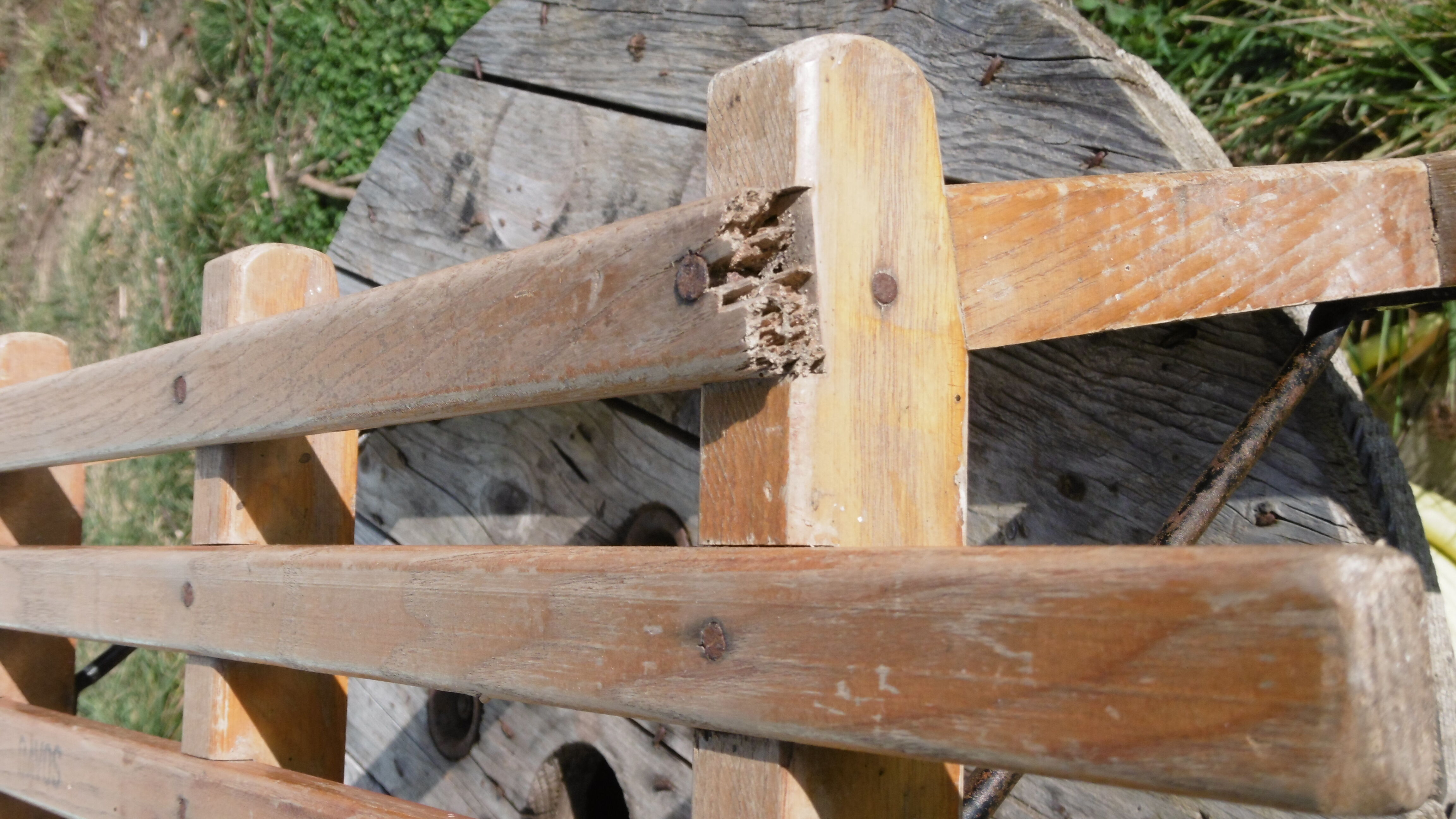 Old James - Davos wooden sled