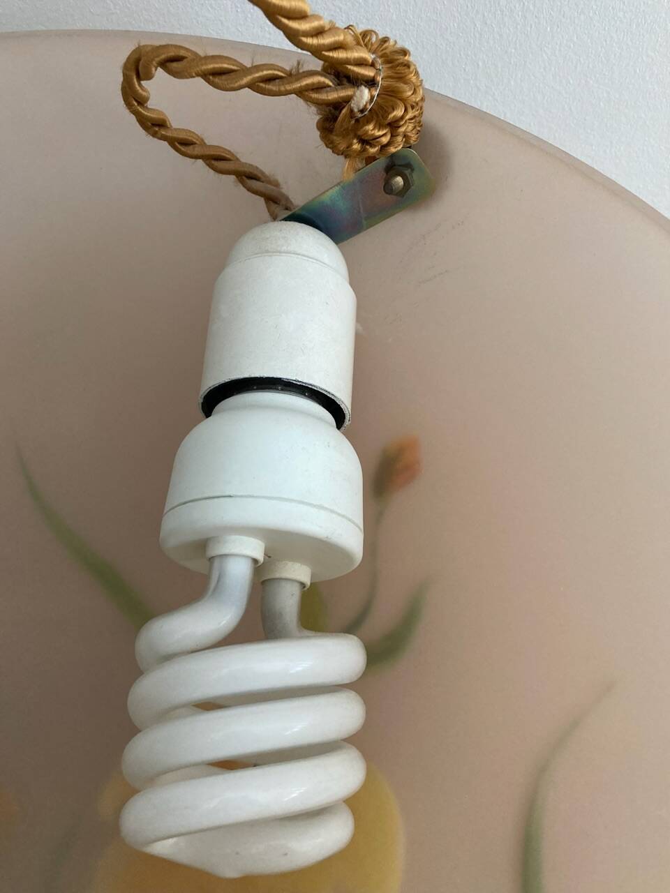 Opaline pendant light hand painted and signed