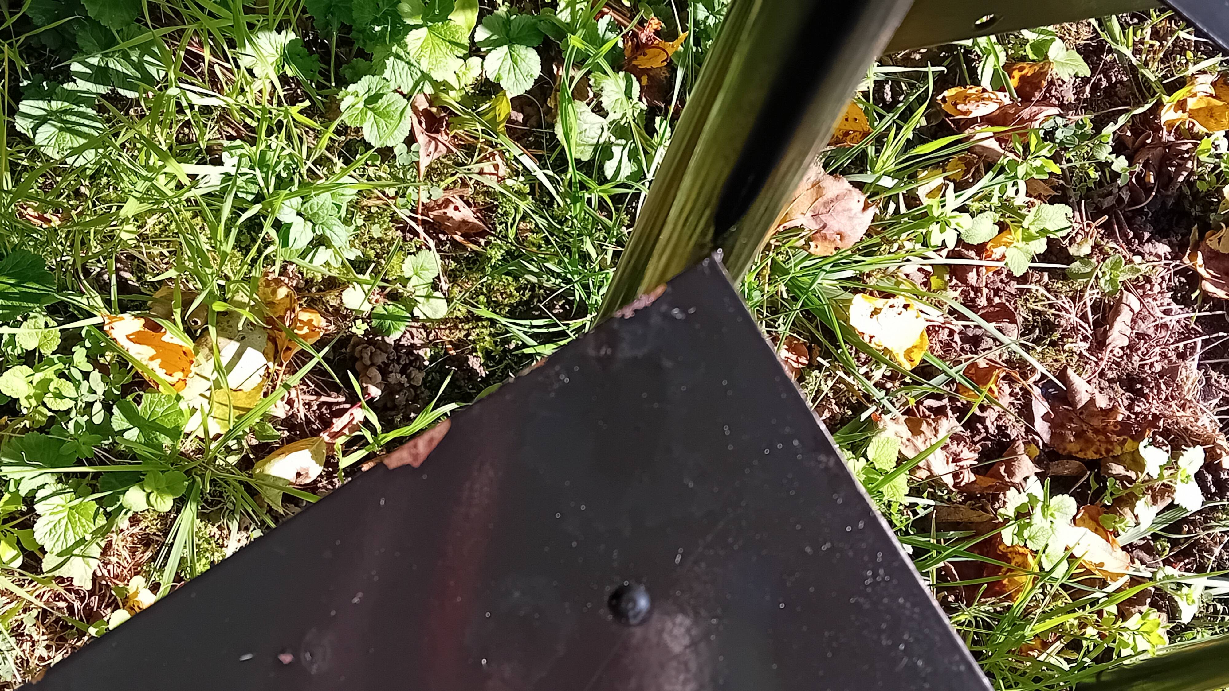 Wendy Wright chairs. Philippe STARCK