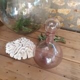 Carafe biot
