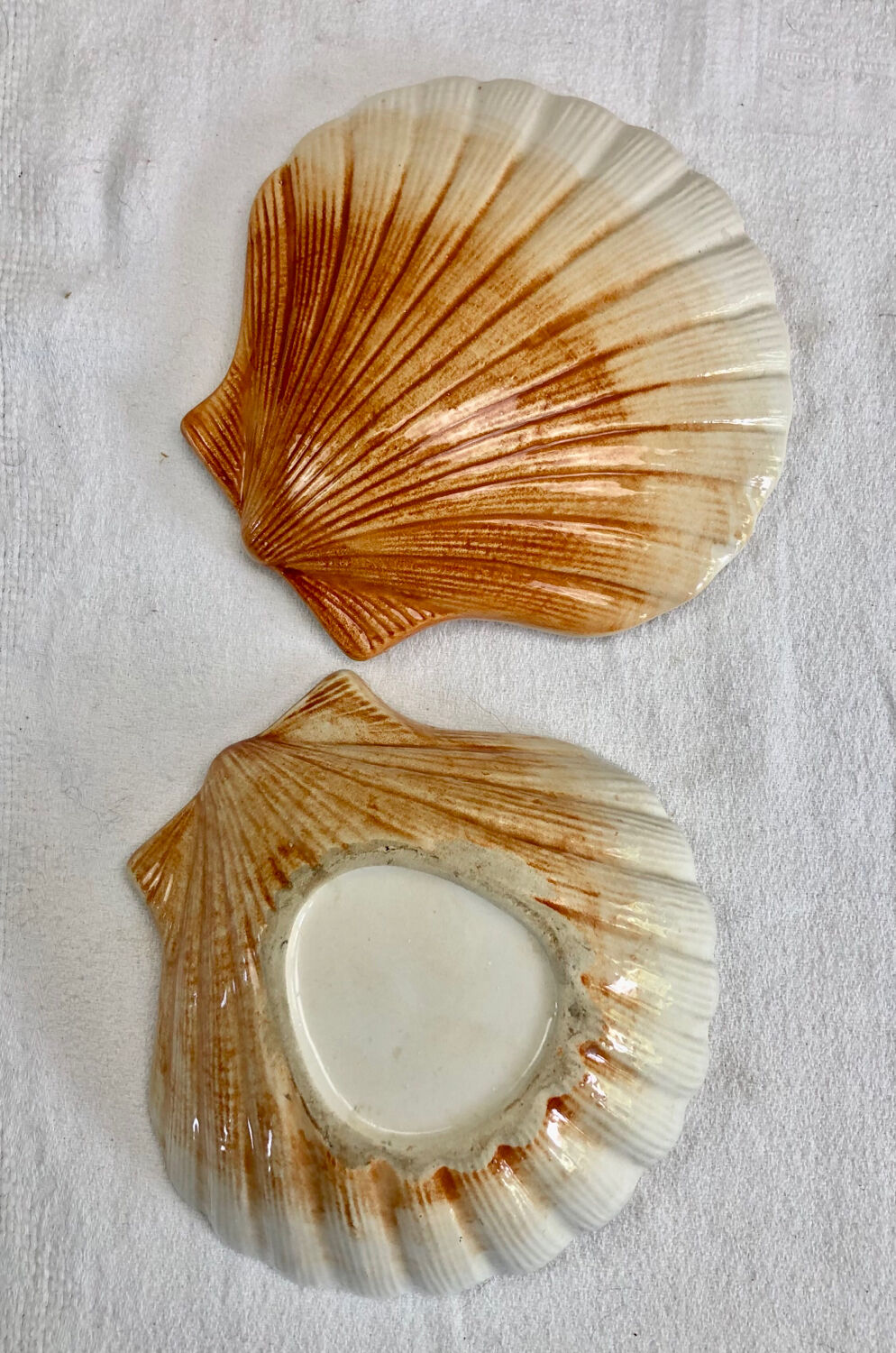 Terrine Caugant slurry scallops