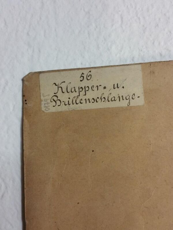Affiche scolaire d'histoire naturelle