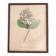 Botanical board, glazed wood frame