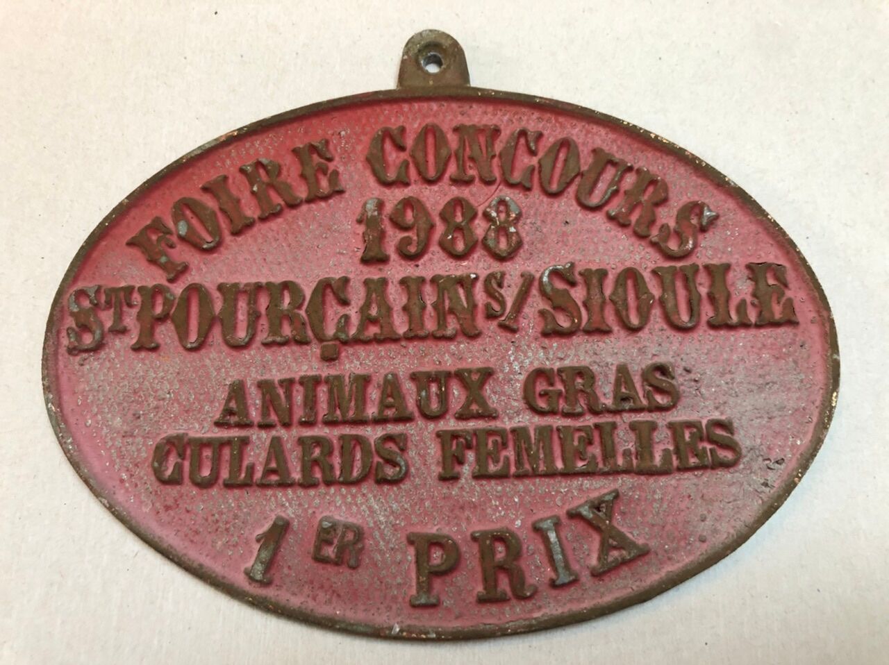 Plaque agricultural competition foire saint-pourçain-sur-sioule animals gras culards females