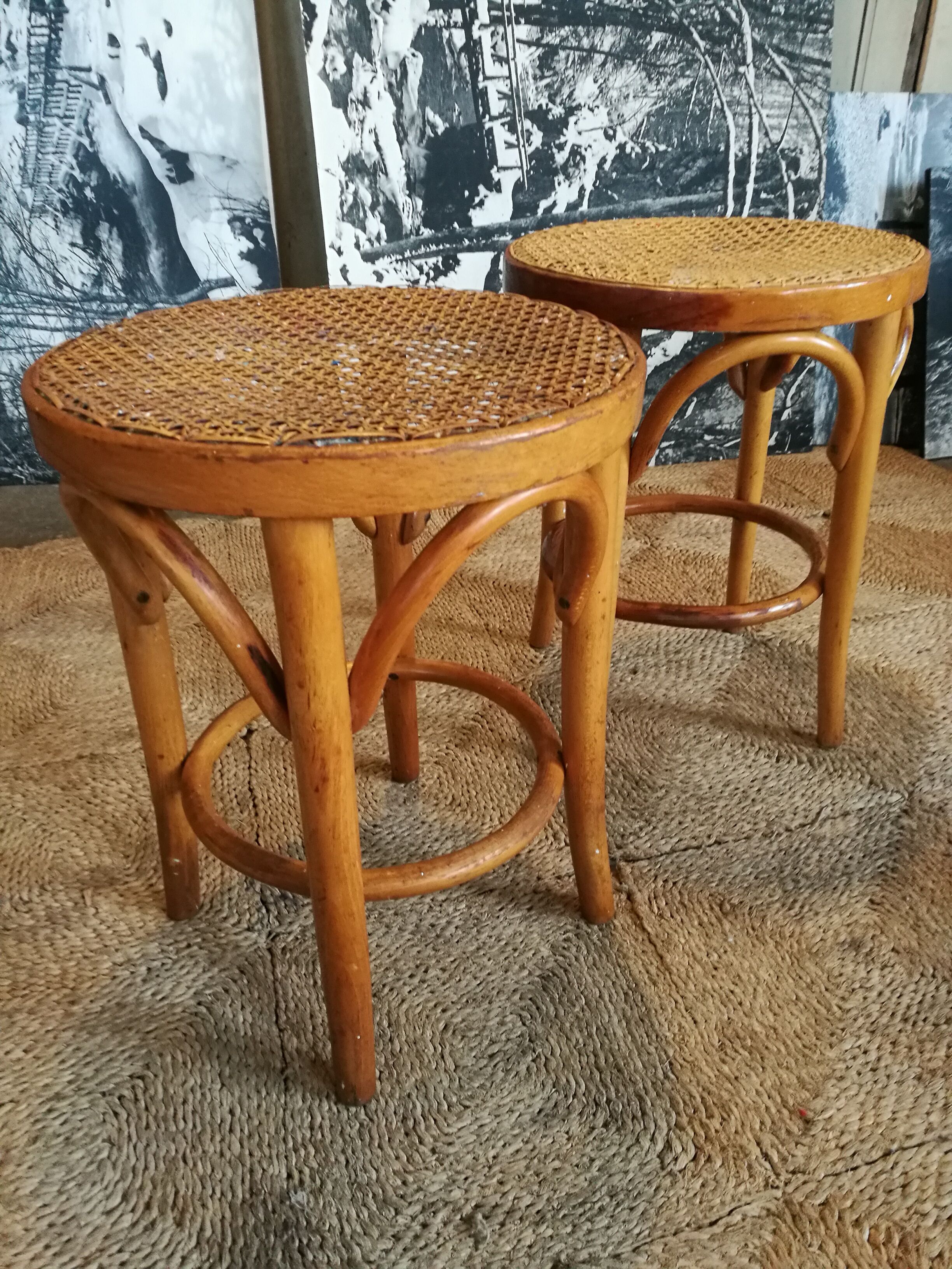 Pair of curved wooden stools