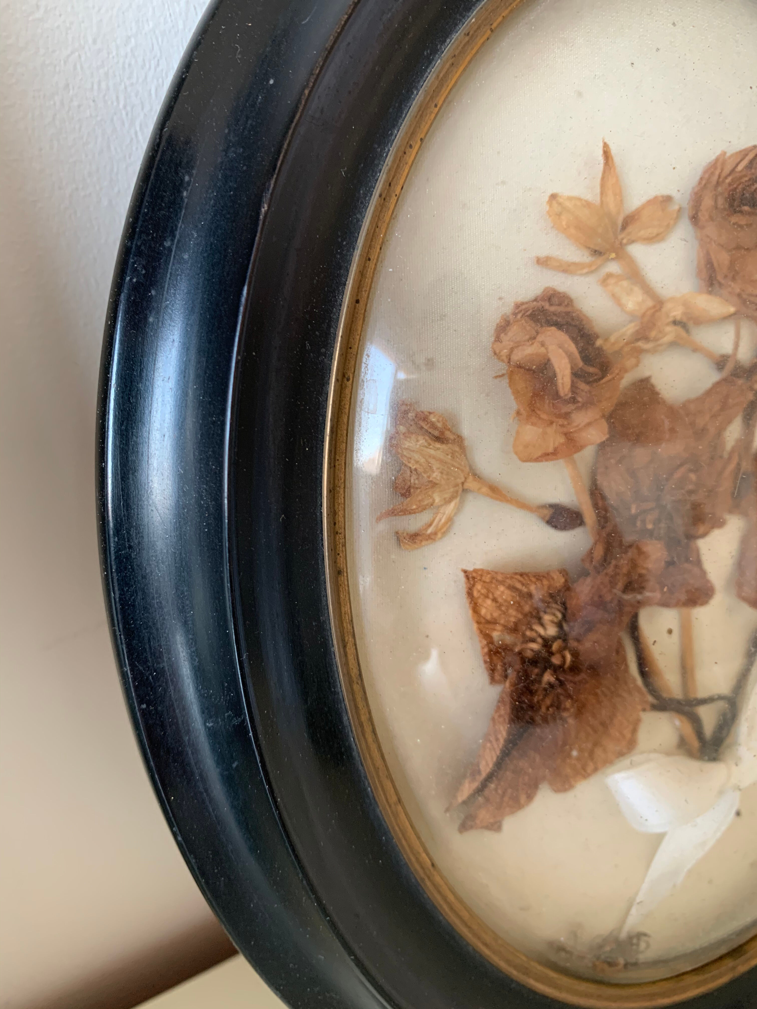 Herbier avec cadre Napoléon III