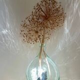 Transparent 5L demijohn