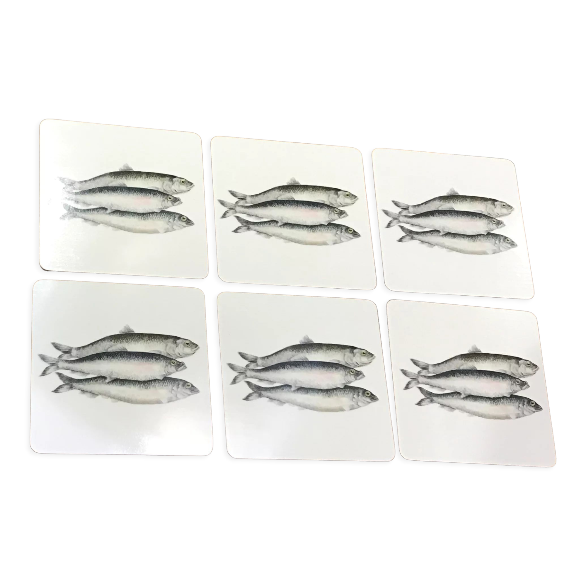 Coasters Bill Bull Bob fish