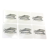 Coasters Bill Bull Bob fish