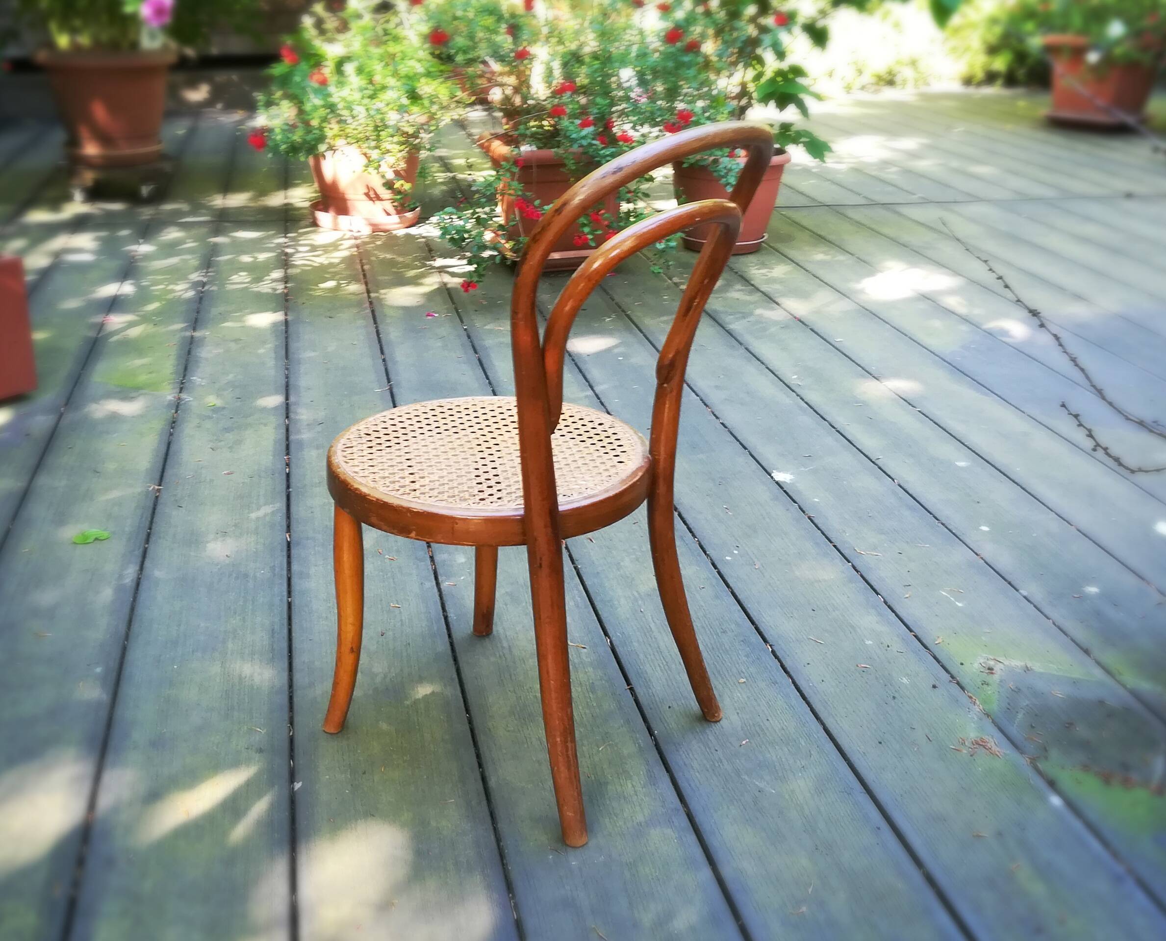 JJ Kohn, caned bistro chair for children, circa 1900