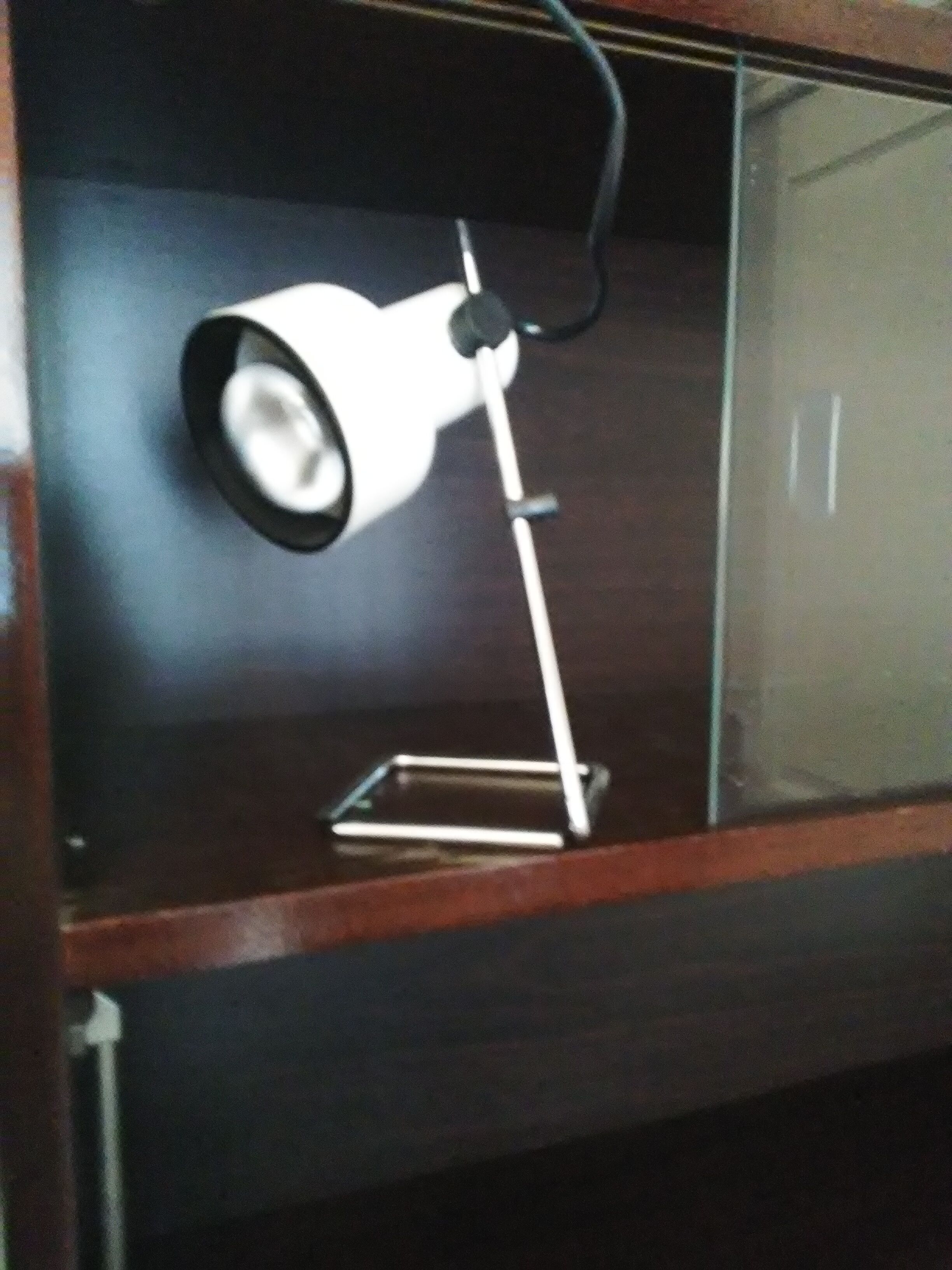 Bookcase showcase 60s