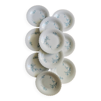 Assiettes vintage "Myosotis" en porcelaine