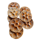 Italian oyster plates