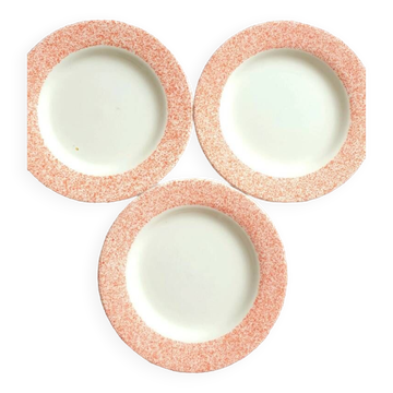 Vintage dinner plates