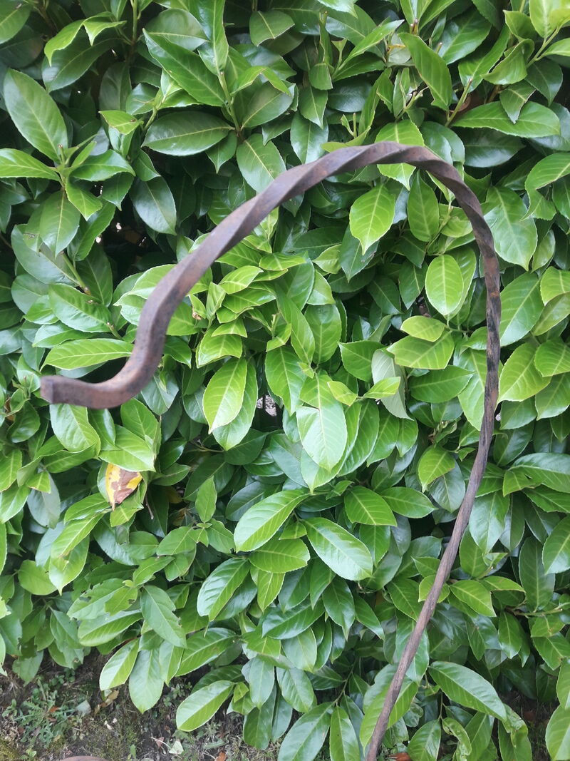 Porte plante h135cm fer torsadé vintage