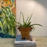 Cache-pot vintage en rotin