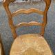 2 chaises bois massif et paillées style Louis XV sculpture coquille