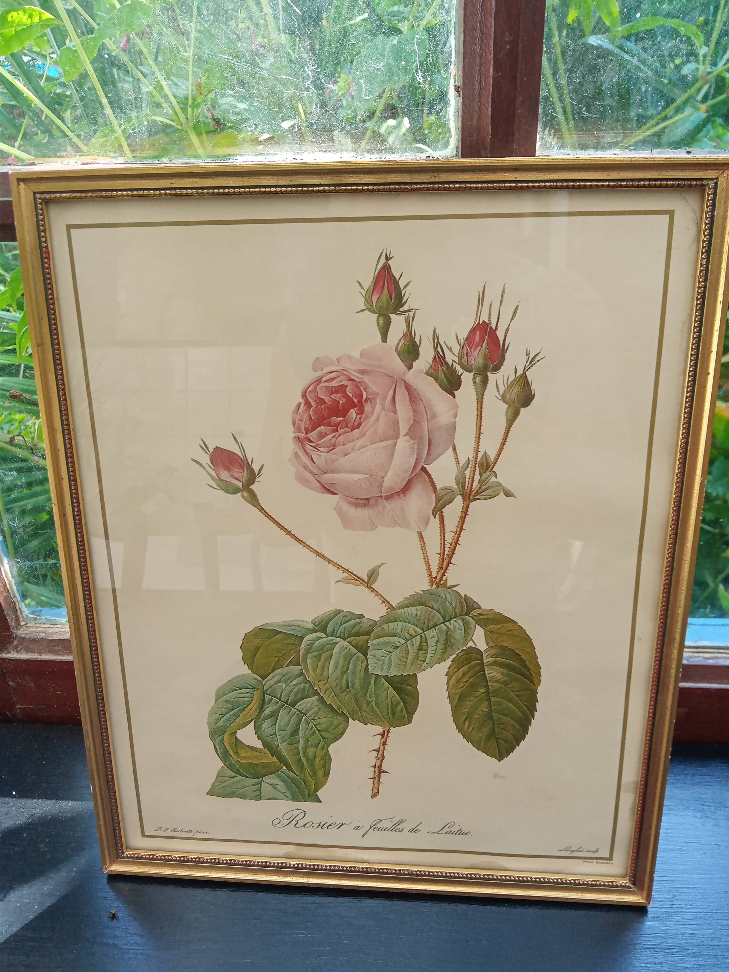 Redouté botanical board