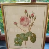 Redouté botanical board