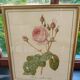 Redouté botanical board