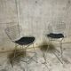 Pair of Harry Bertoia bar chairs