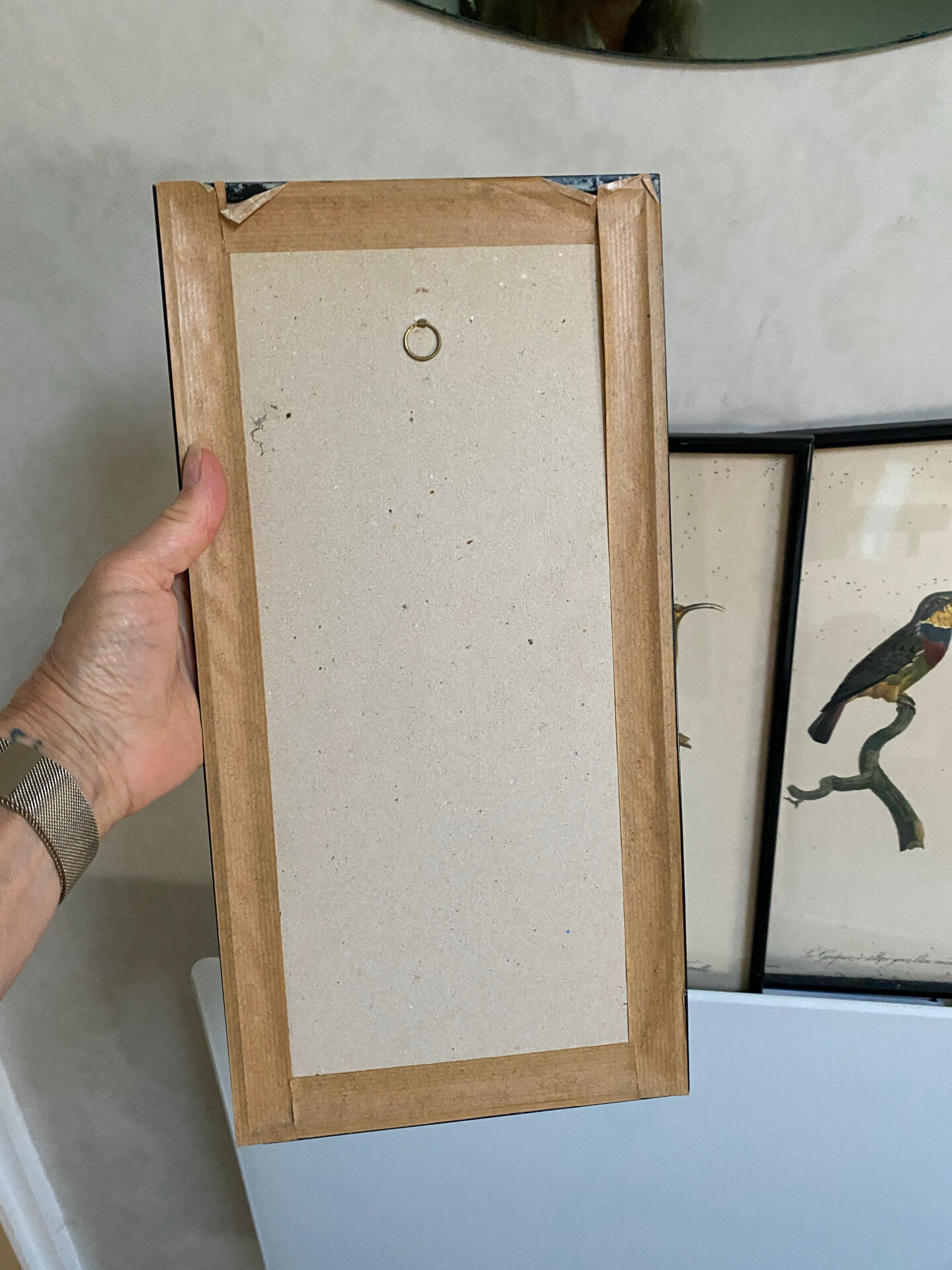 Vintage bird lithographs